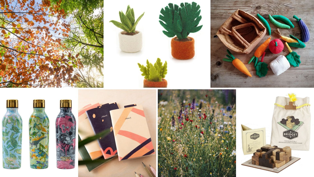 Best Eco Gifts 2024 - ethical sustainable gifts for eco warriors