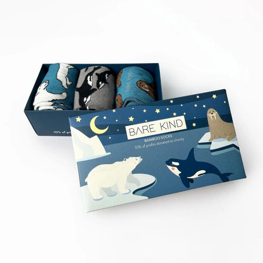 Arctic socks bamboo socks gift box