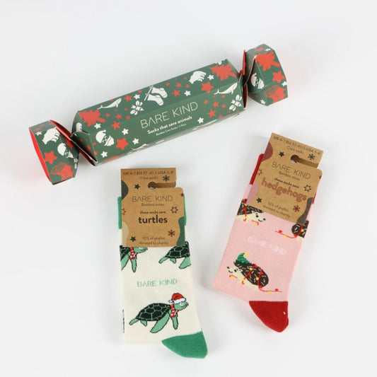 Christmas Cracker Gift Set  Hedgehog & Turtle Bamboo Socks