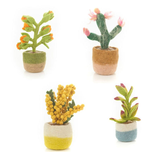 Fair Trade Happy Houseplant Set of Four