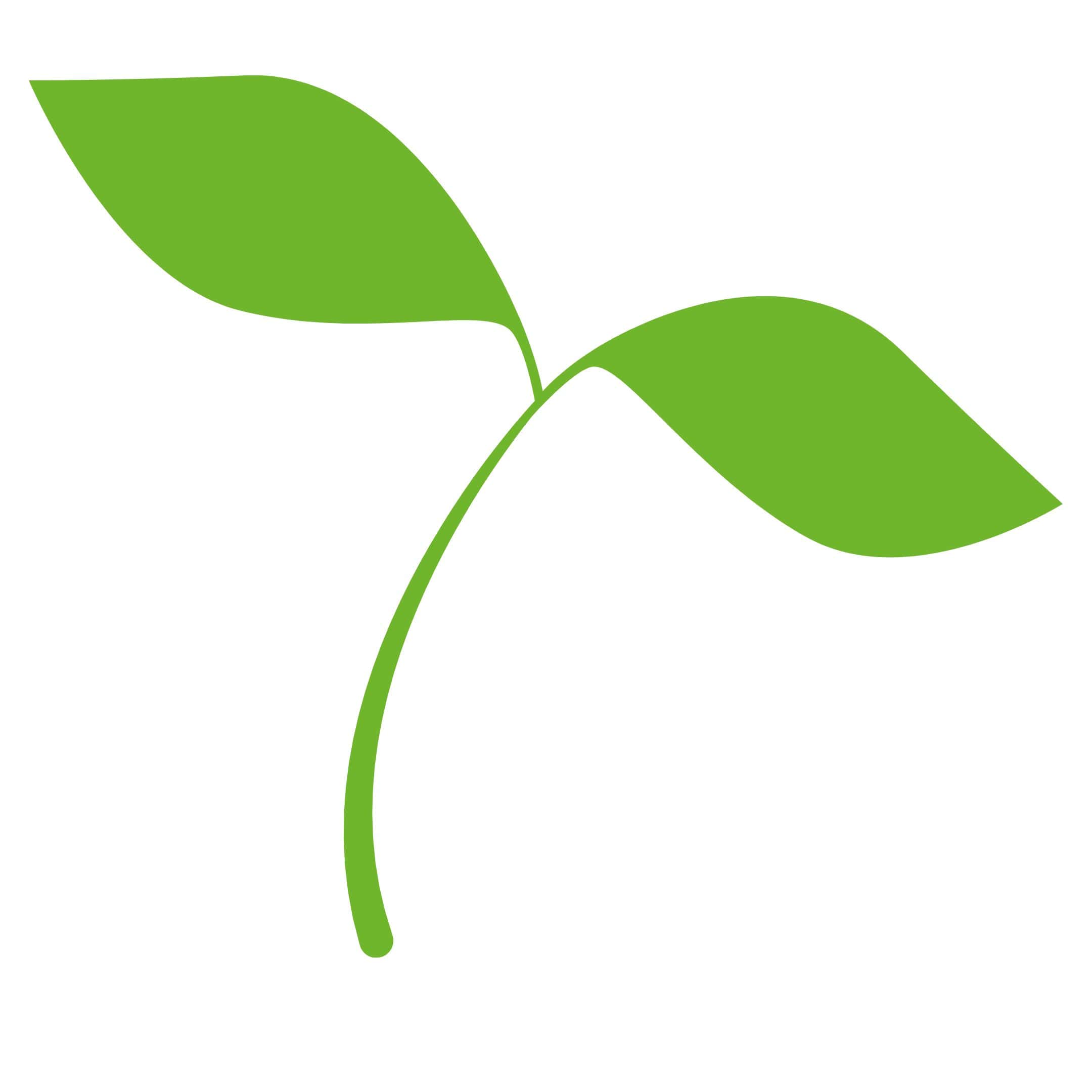 Image shows green plant - sustainably made eco gifts