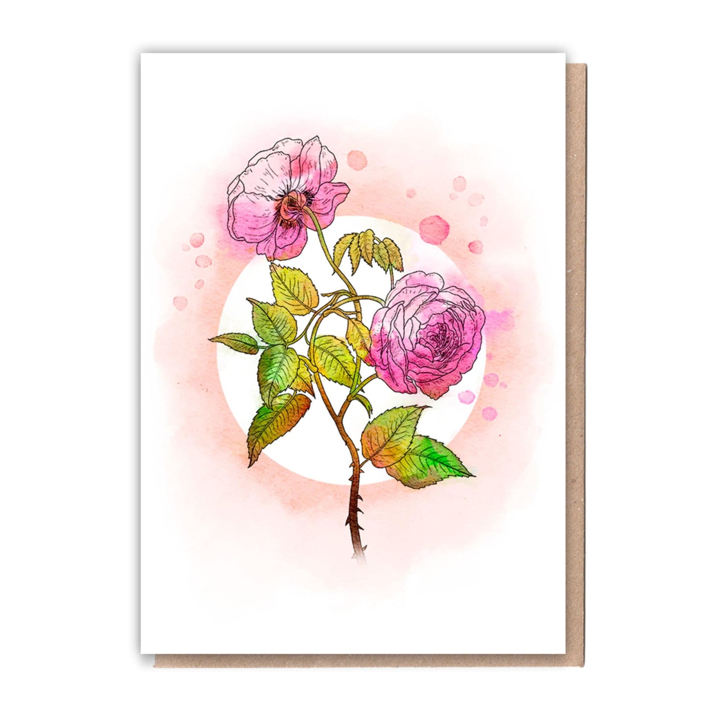 Recycled Greetings Card Box 5 Cards + 10 Trees Planted Nature Lover - roses