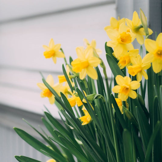 5 Easy Random Acts of Kindness - Ideas you can try today