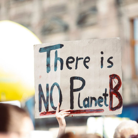 Climate Change What can an individual do to make a difference - there is no planet B poster