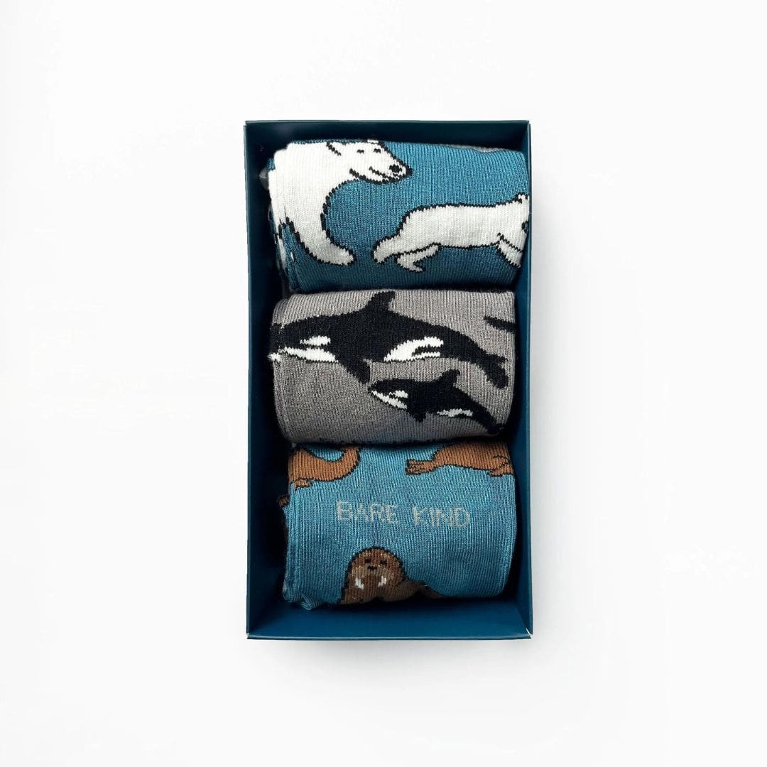 Arctic gift box - three sets of socks saving animals