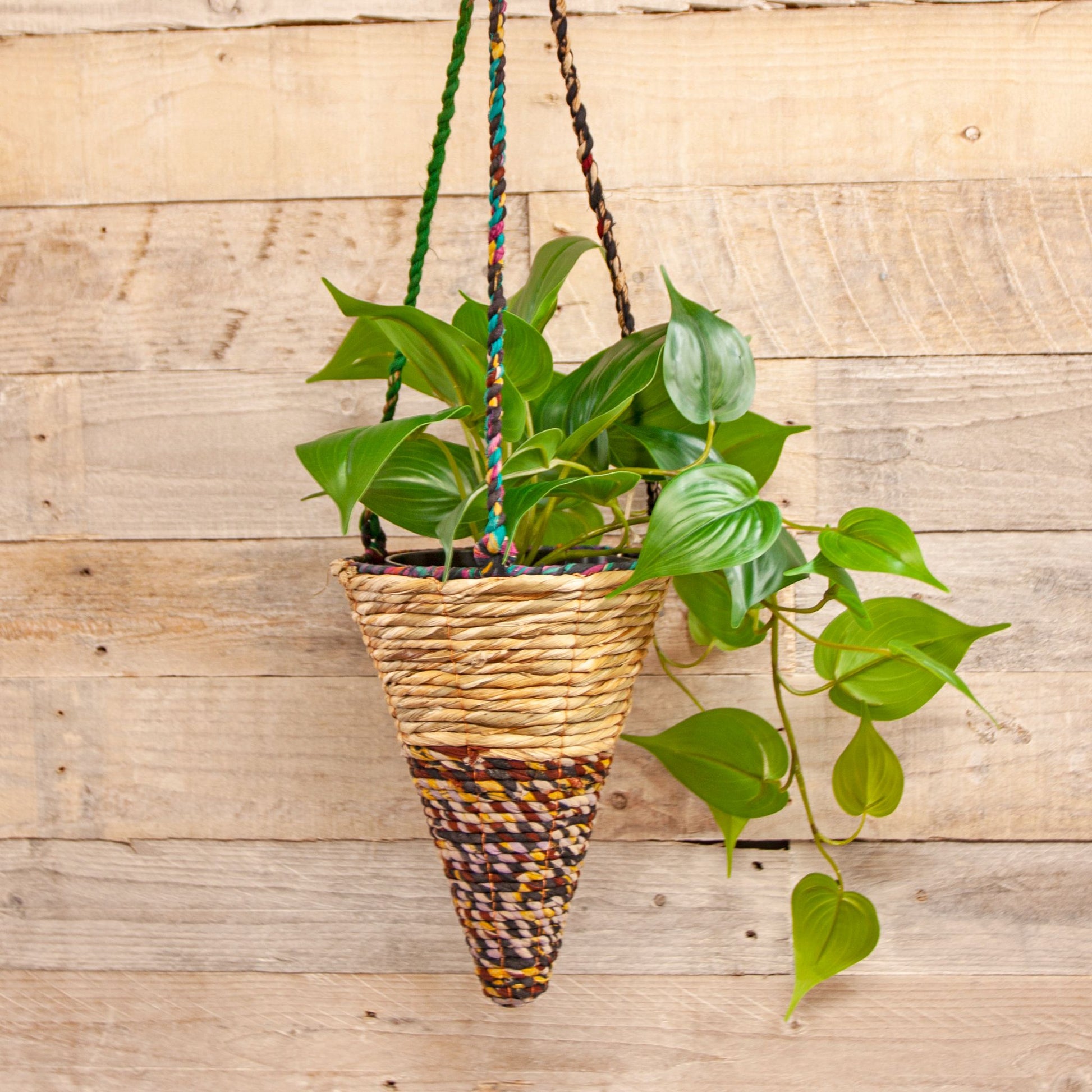 Artisan hanging planter - cone shape -  with plant