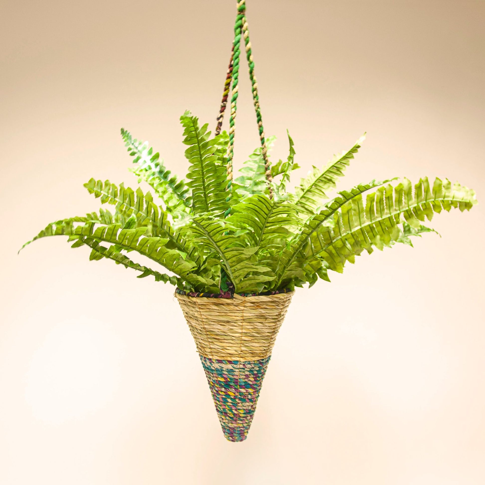 Artisan hanging planter - cone shape - with plant
