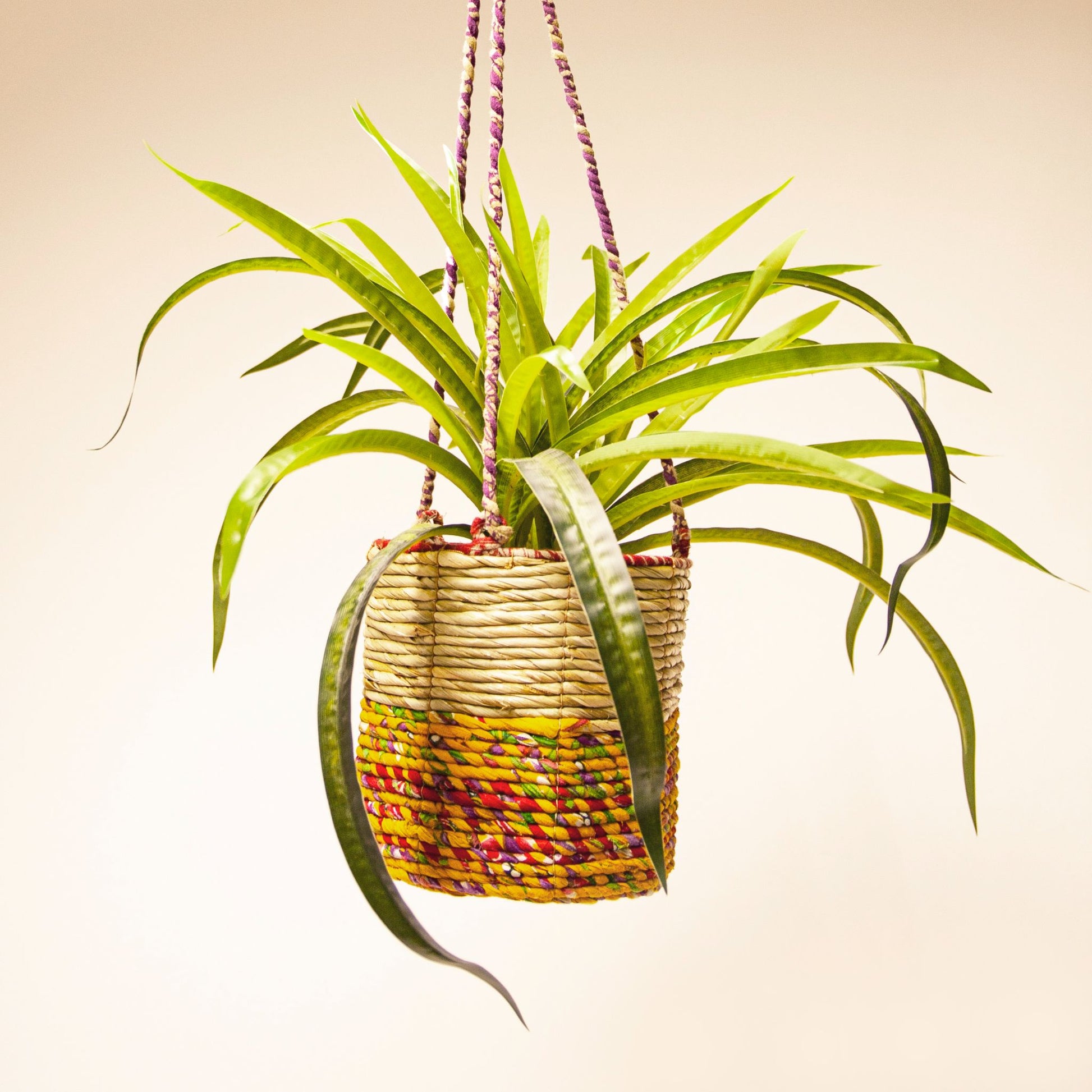 Artisan Hanging Planter - Round - hanging plant pot with plant