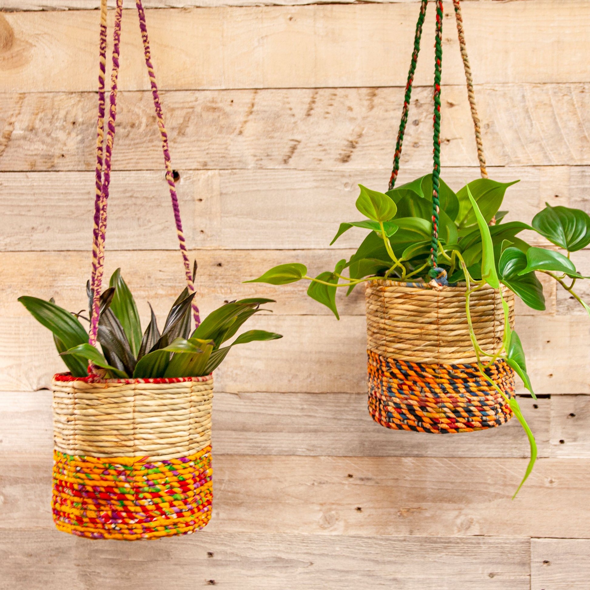 Artisan Hanging Planter - Round - two designs shown with plants