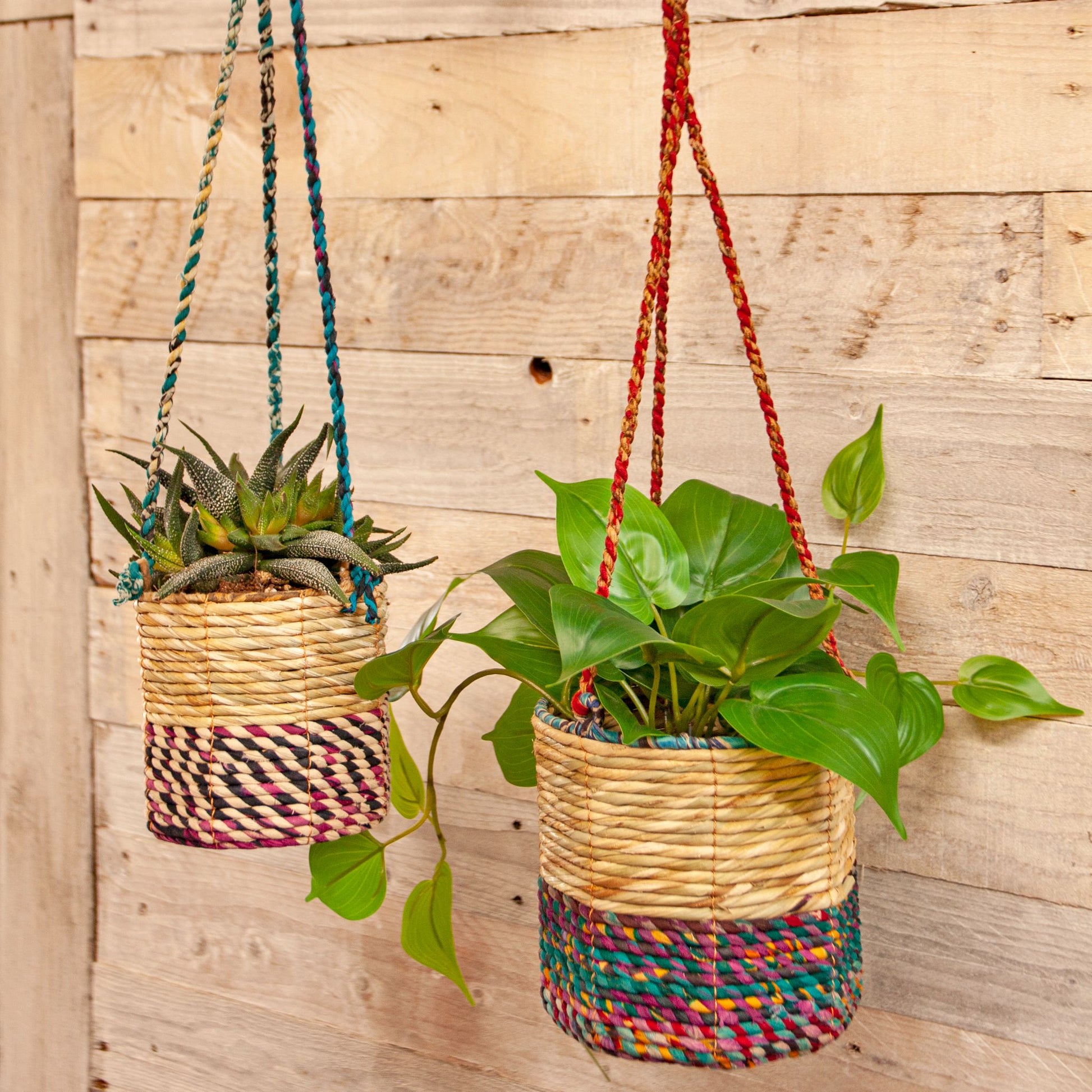 Artisan Hanging Planter - Round - two designs hanging plant pot with plants