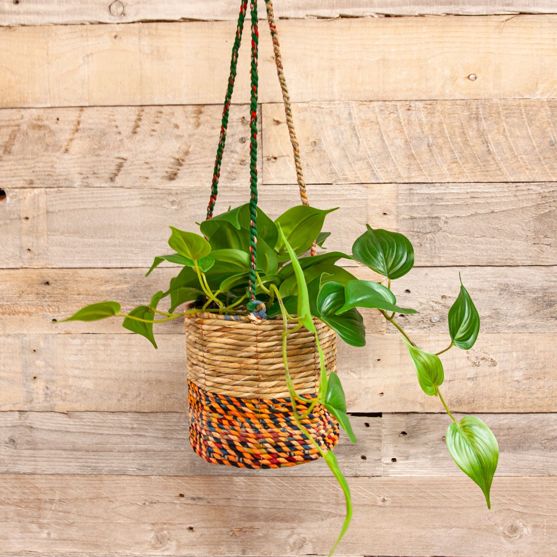Artisan Hanging Planter - Round - with trailing plant