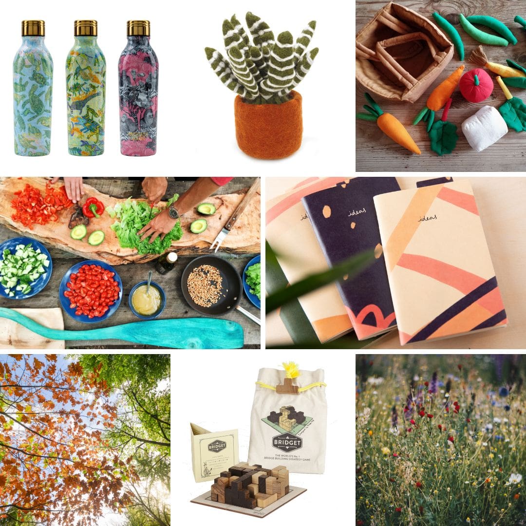 Best Eco Gifts for 2023 - ethical and sustainable gifts for eco warriors
