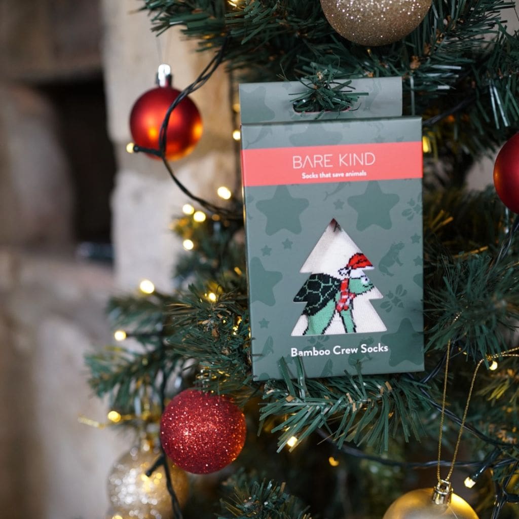 Christmas Socks - Turtle Bamboo Socks - gift box in tree