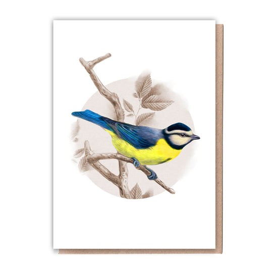 Blue tit | Recycled Eco Friendly Blank card