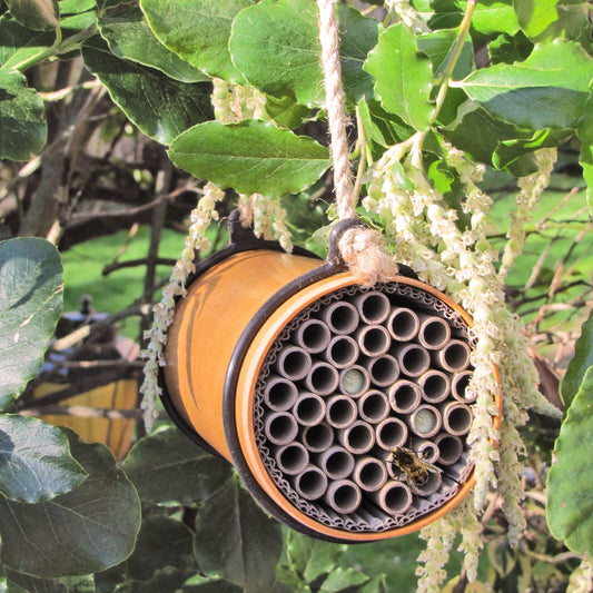 Eco Bee Nester - lifestyle - no lid - gardening gifts