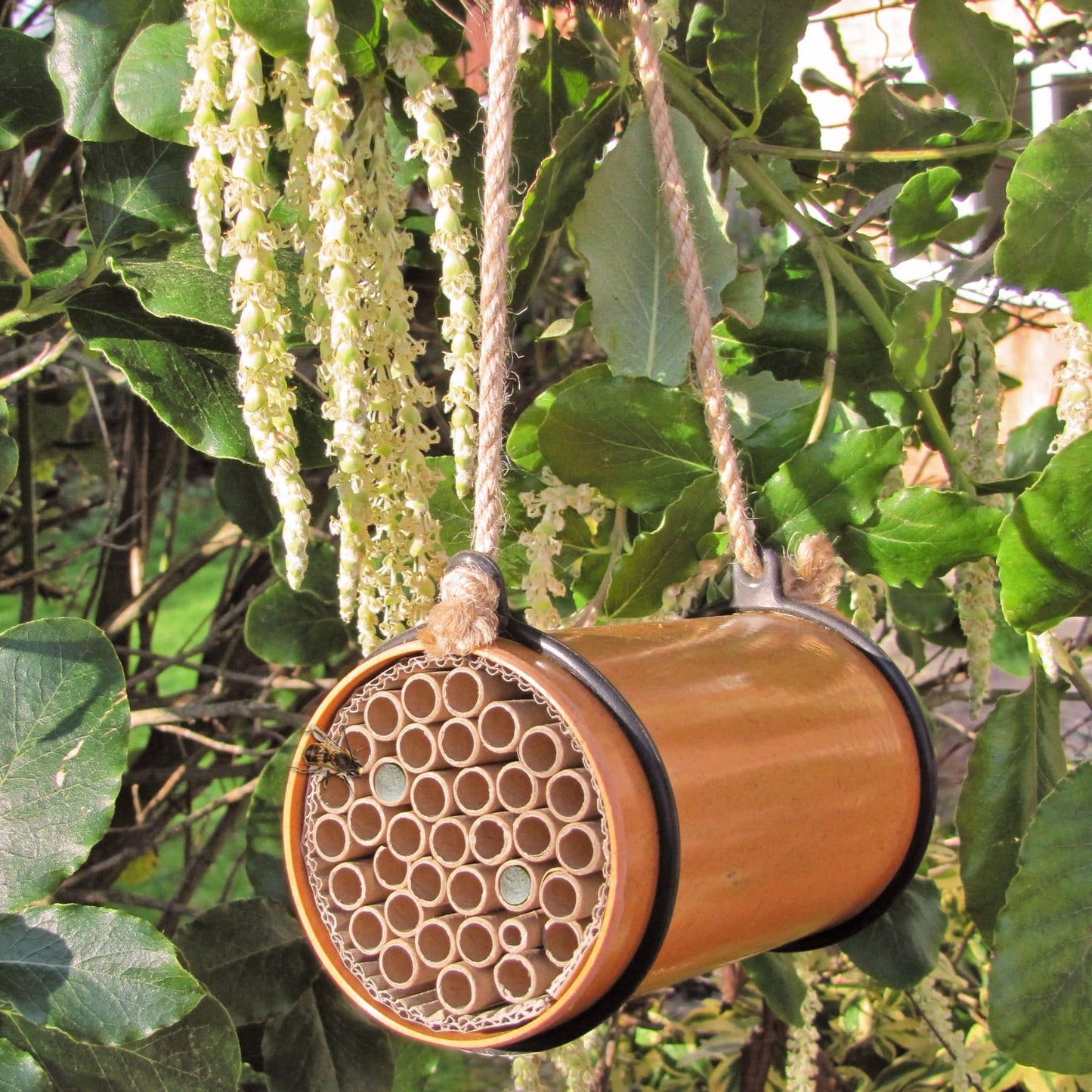 Eco Bee Nester - no lid - nature lover gift