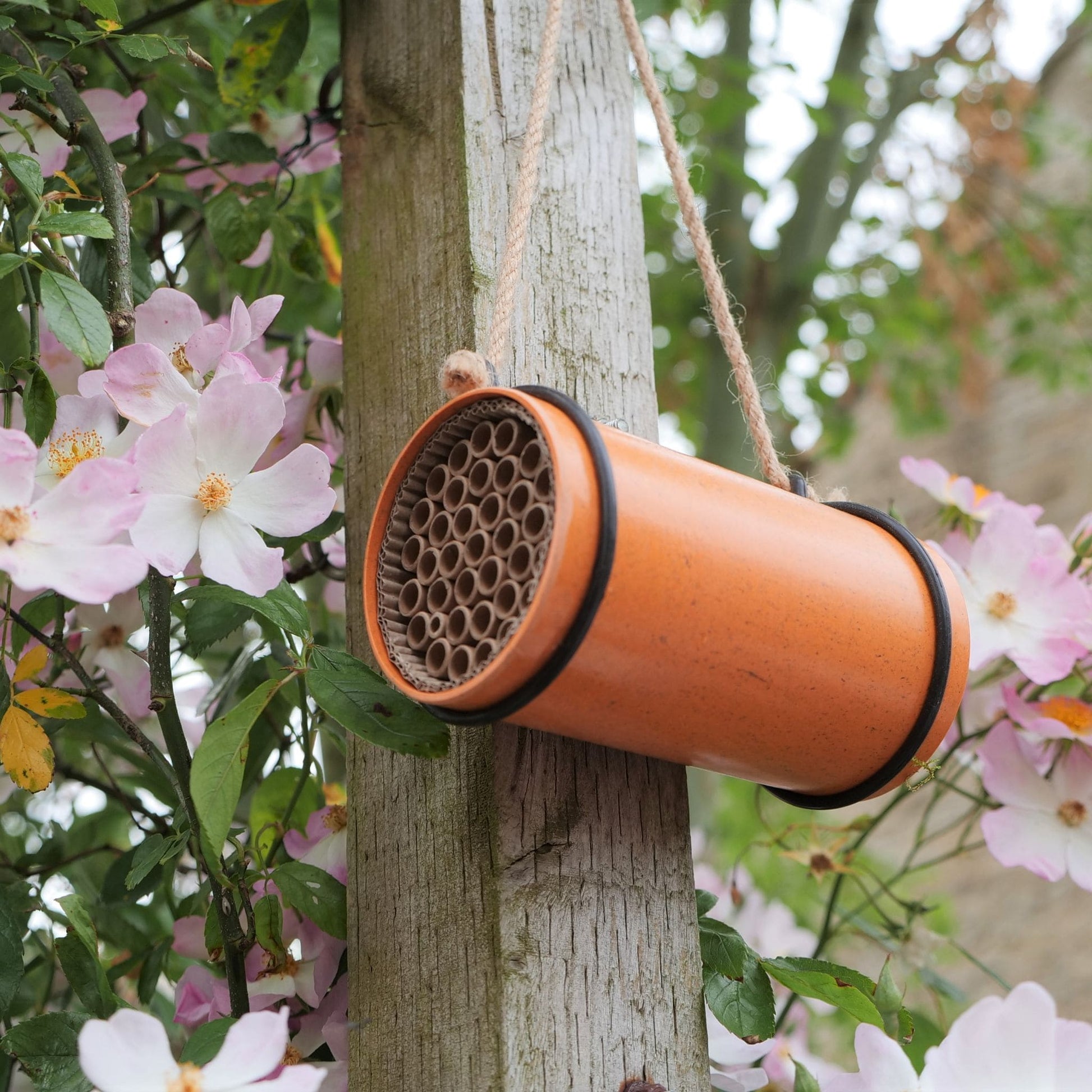Eco Bee Nester - wildlife gift