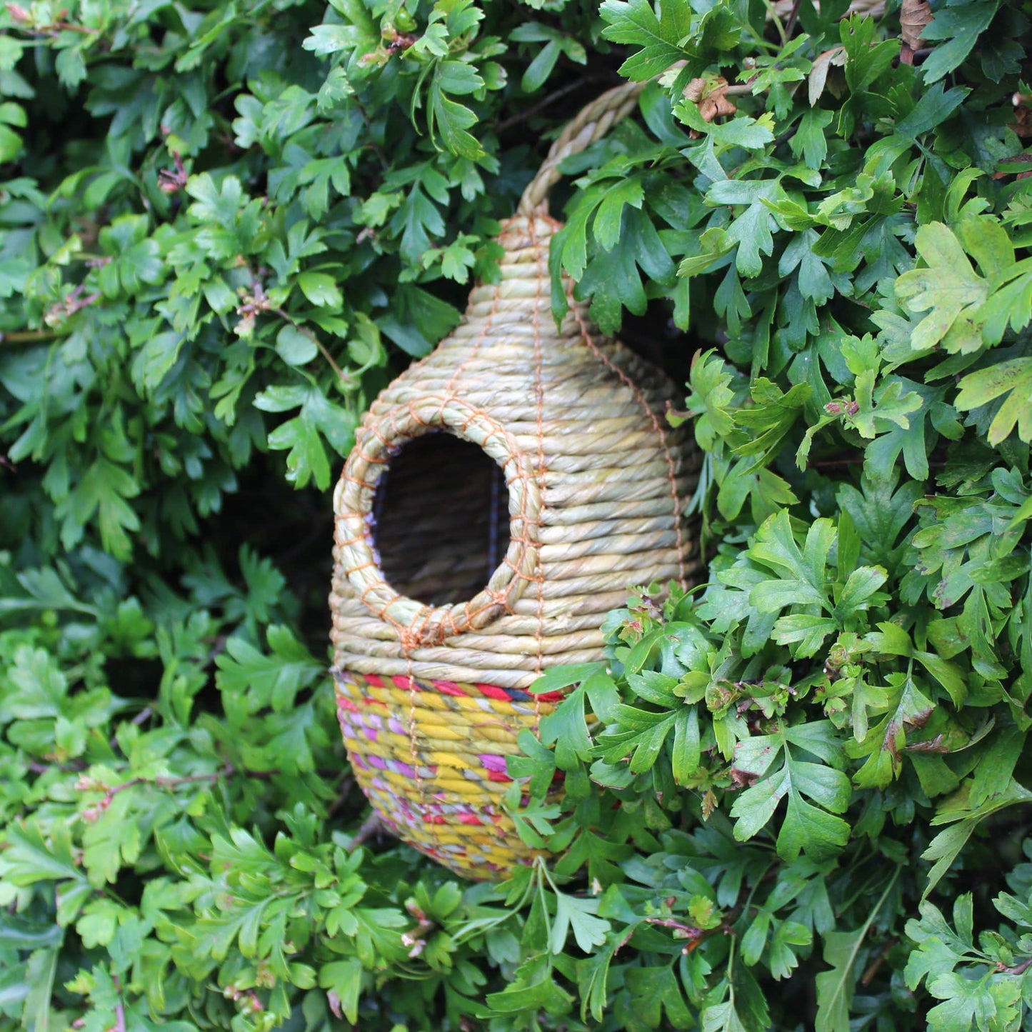 Handmade and Fair Trade Bird Nester - Sheshali - in hedge