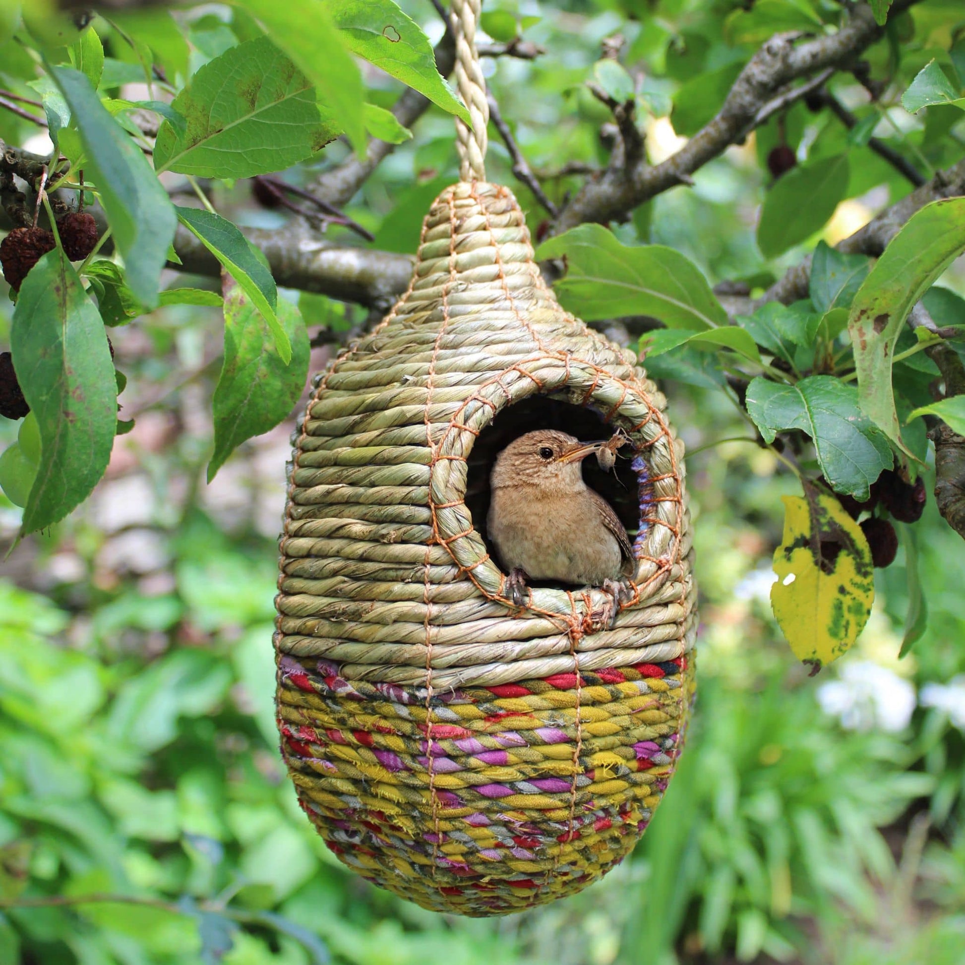Handmade and Fair Trade Bird Nester - Sheshali - with bird perched on edge