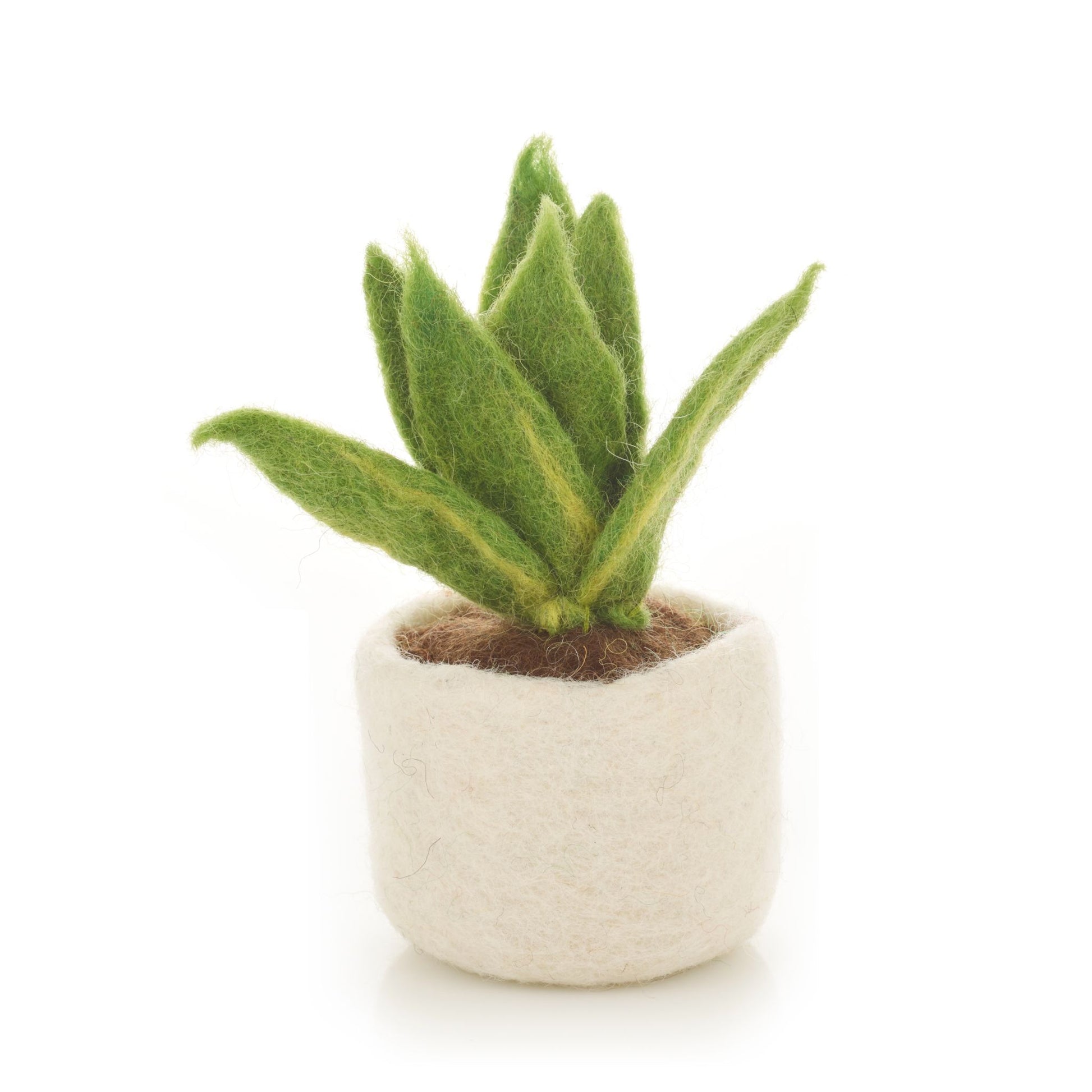 Miniature Sansevieria Plant  Hand Felted & Fair Trade Houseplant