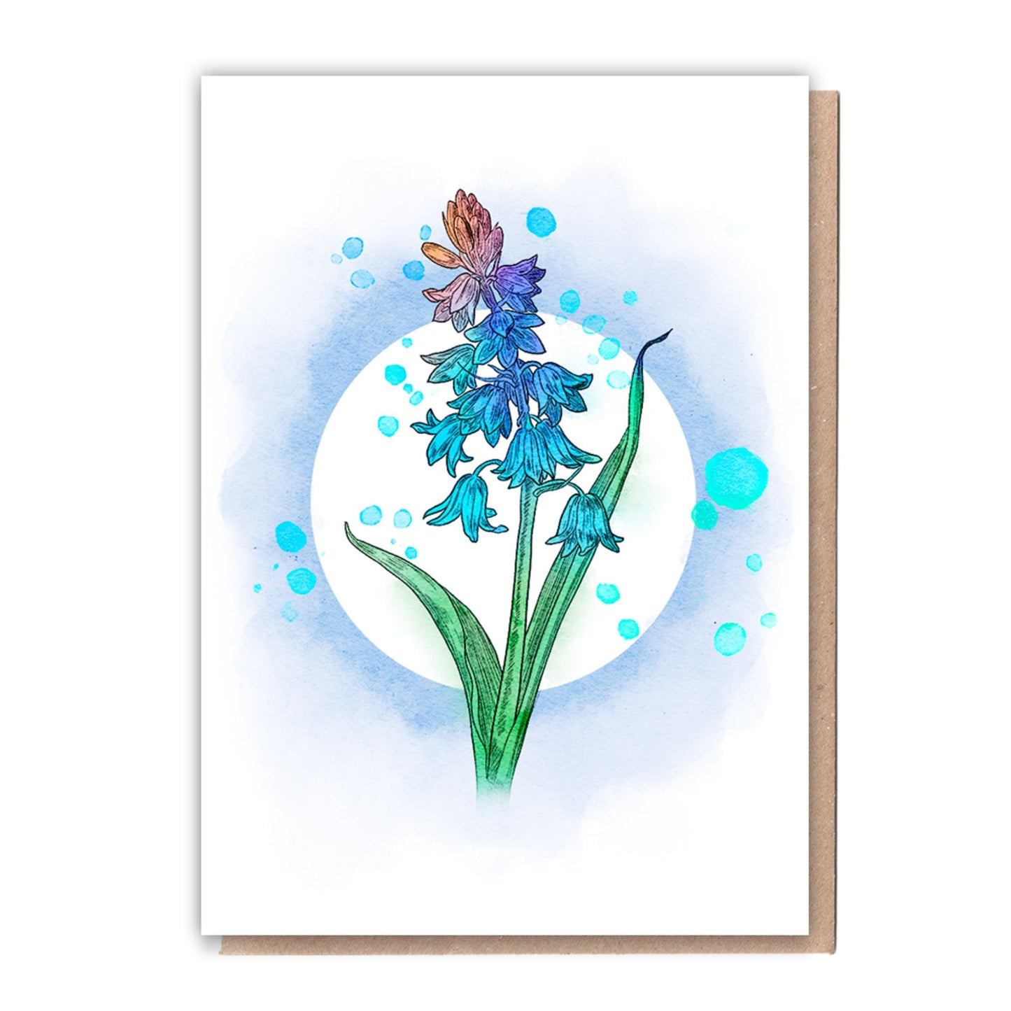 Recycled Greetings Card Box  5 Cards + 10 Trees Planted  Nature Lover - bluebells