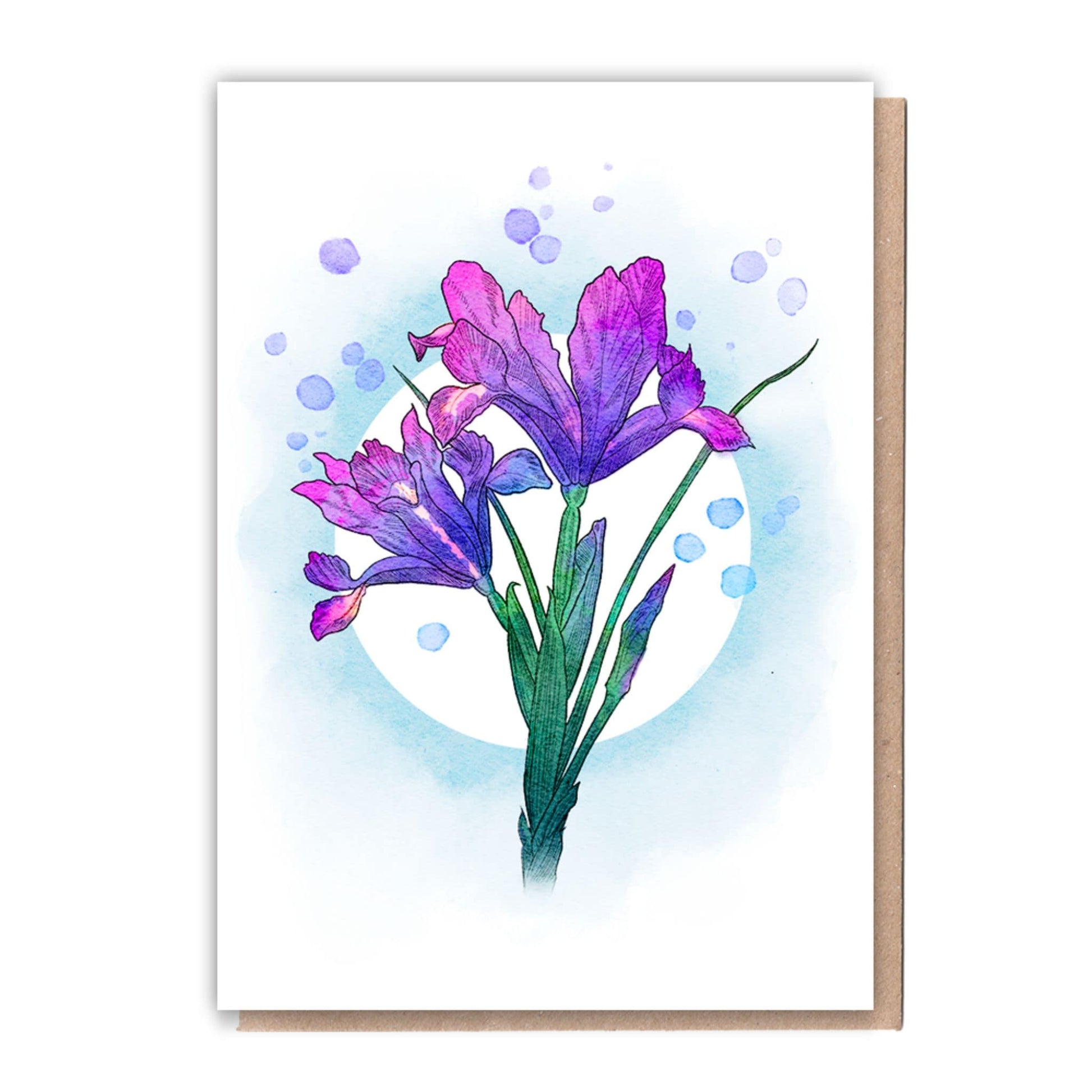 Recycled Greetings Card Box  5 Cards + 10 Trees Planted  Nature Lover - irises