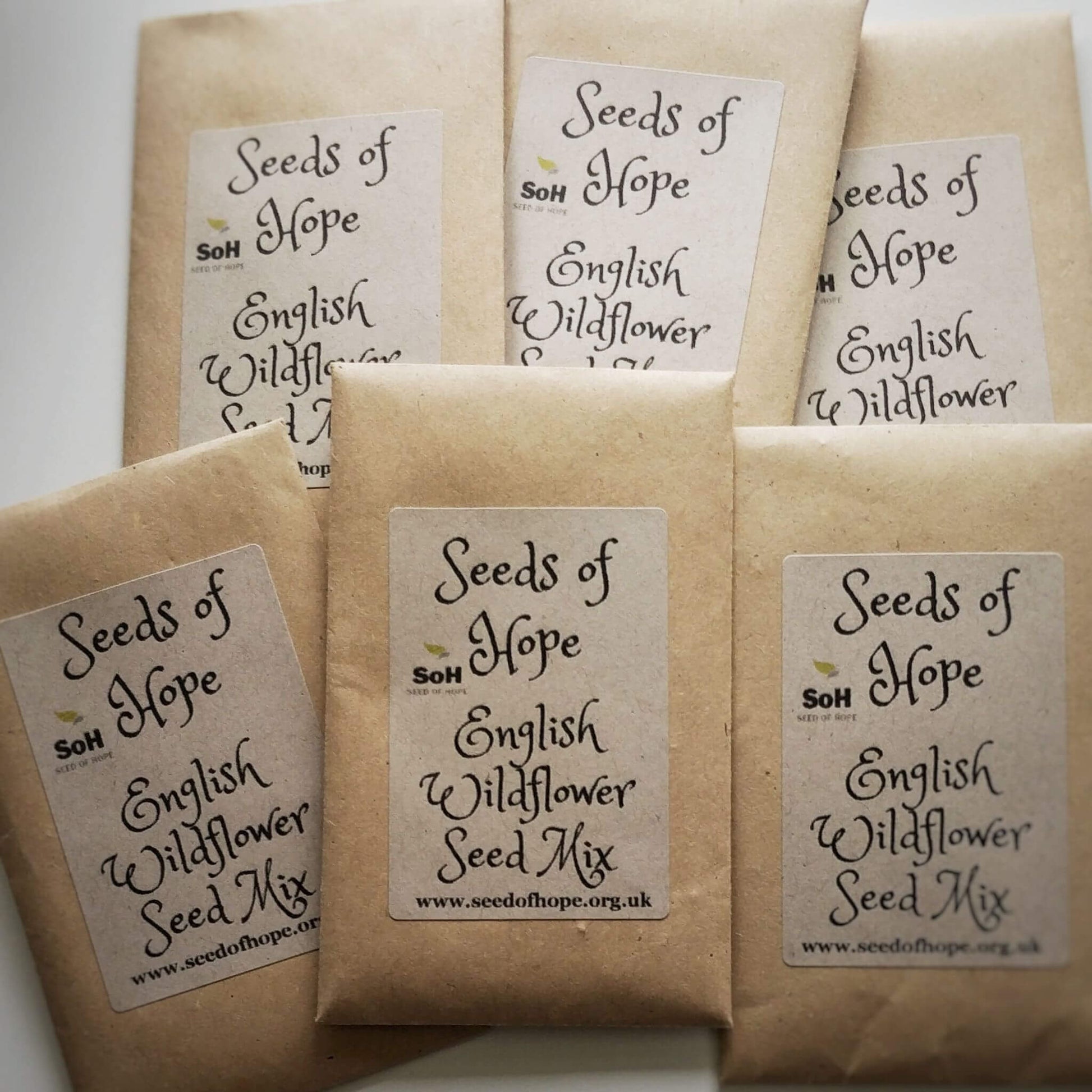 Wildflower Seeds Supporting Mental Health Recovery - seed packets