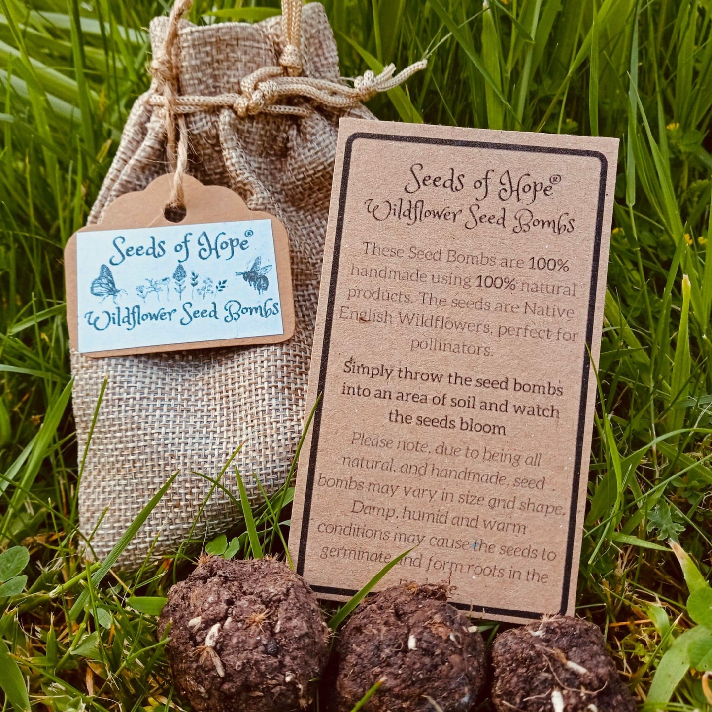 Wildflower seed bombs and bag -  Gift Set of 3 flower bombs