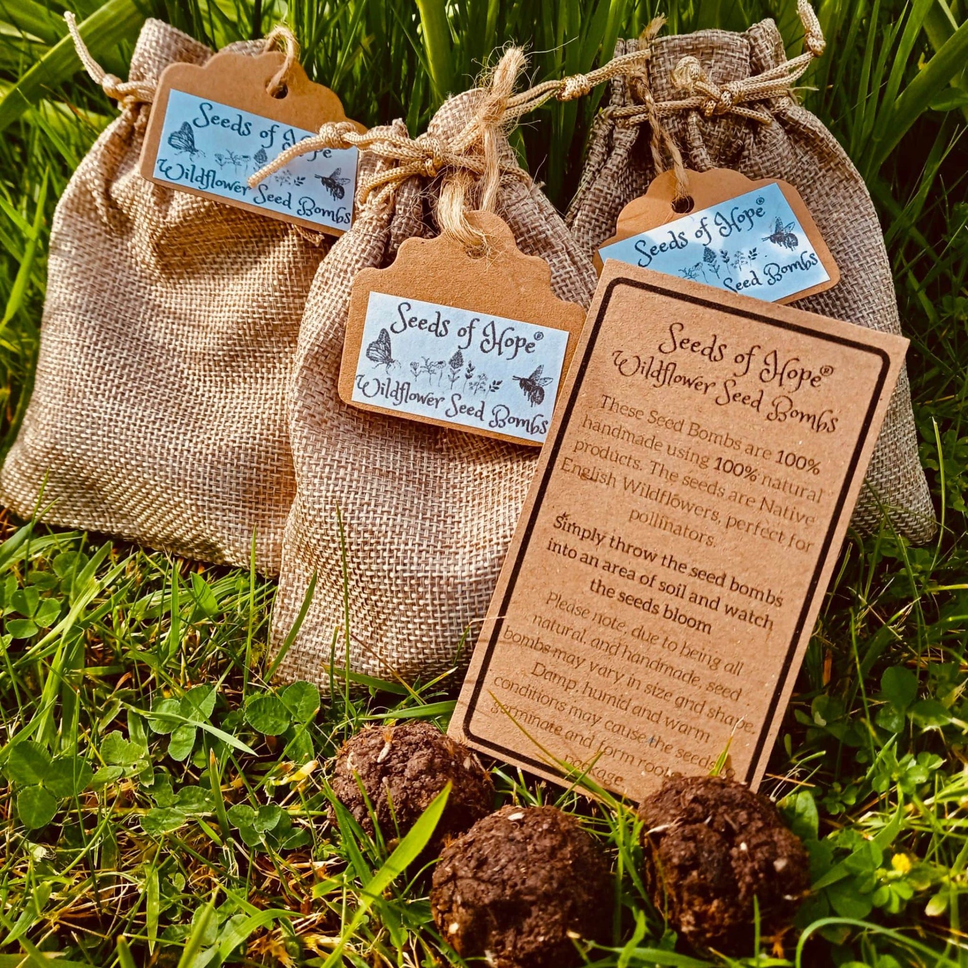 Wildflower seed gift set seed bombs-min